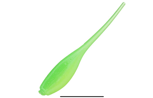 Bobby Garland Mo' Glo Baby Shad - Outlaw Special