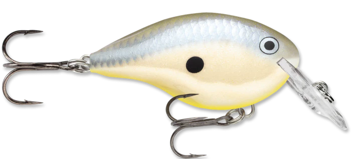 Rapala DT 4 (DISCO SHAD)