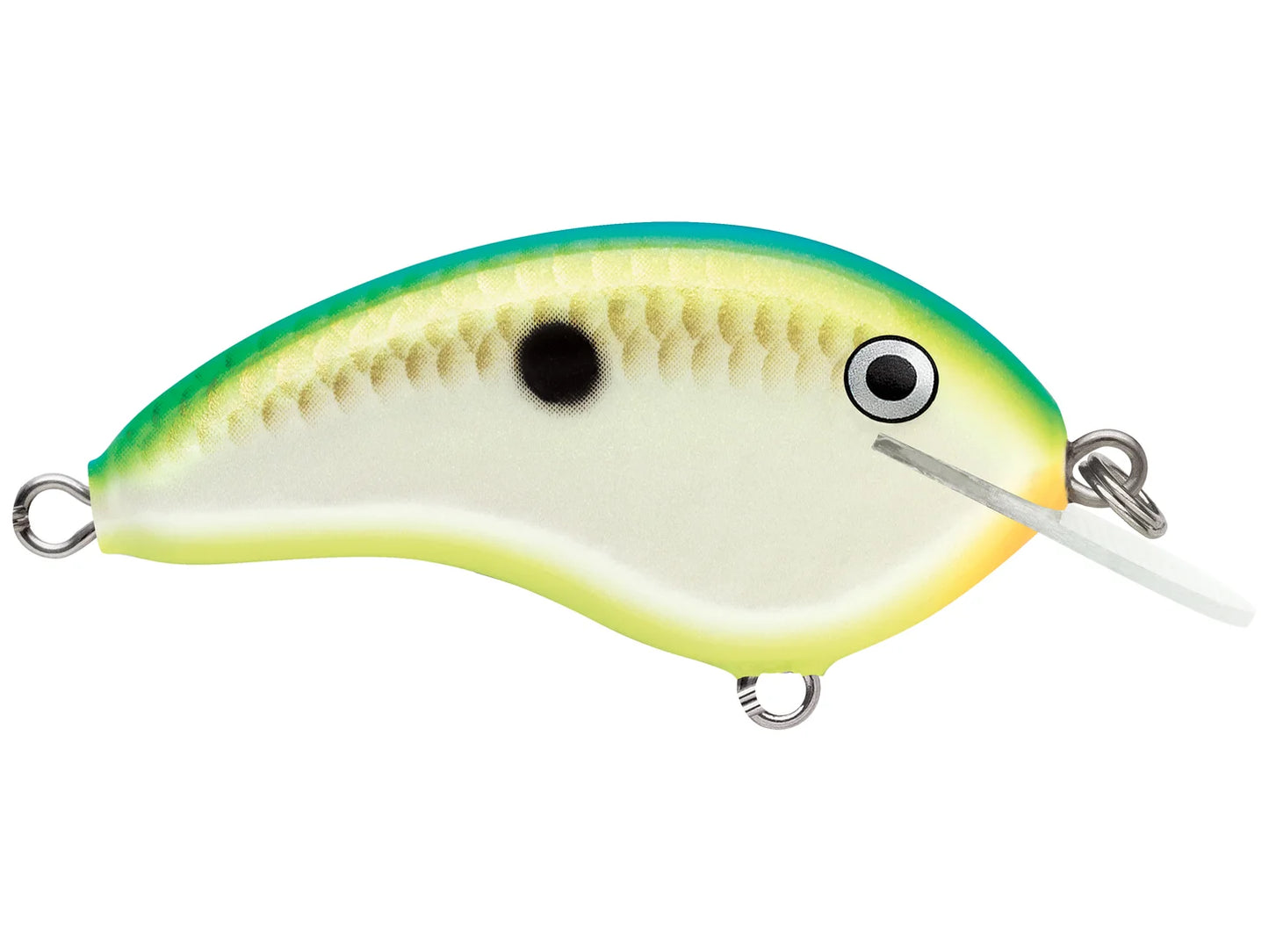 Rapala OG Tiny 4 (Citrus Shad)