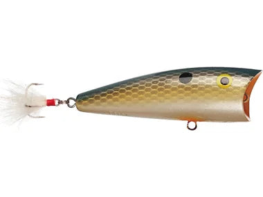 Rebel Pop-R Topwater Popper (foxy shad)