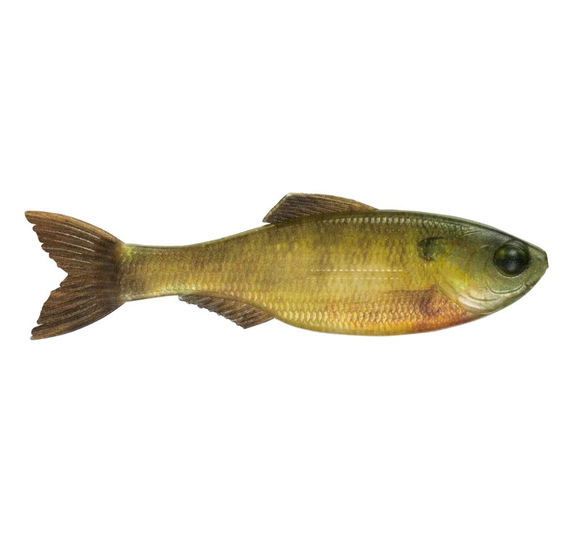 6th Sense Plump Panorama 5.0- Live Bluegill 3pk