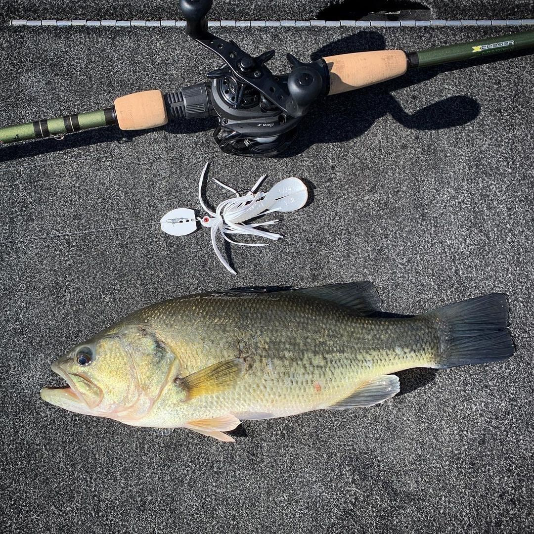 Motion Fishing 1/2oz Seeker Bladed Jig (Sardis Craw)